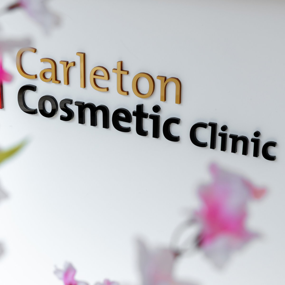 Carleton Cosmetic Clinic Wall Art